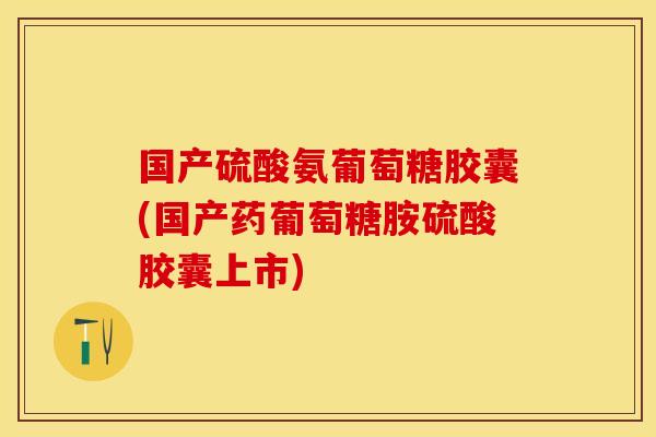 国产硫酸氨葡萄糖胶囊(国产药葡萄糖胺硫酸胶囊上市)