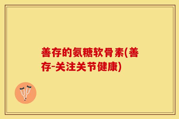 善存的氨糖软骨素(善存-关注关节健康)