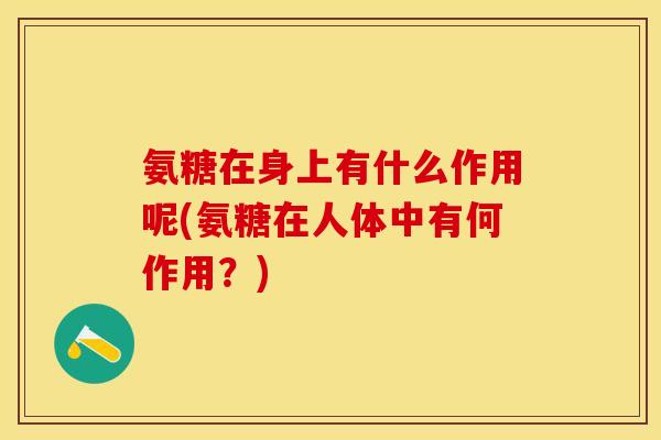 氨糖在身上有什么作用呢(氨糖在人体中有何作用？)