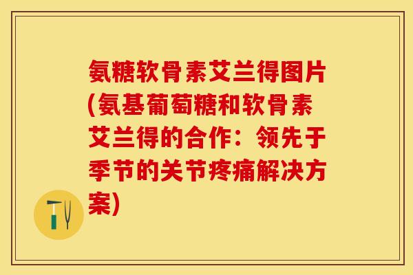 氨糖软骨素艾兰得图片(氨基葡萄糖和软骨素艾兰得的合作:领先于季节的关节疼痛解决方案)-第1张图片-关节保镖 氨糖软骨素艾兰得图片(氨基葡萄糖和软骨素艾兰得的合作:领先于季节的关节疼痛解决方案)-第1张图片-关节保镖