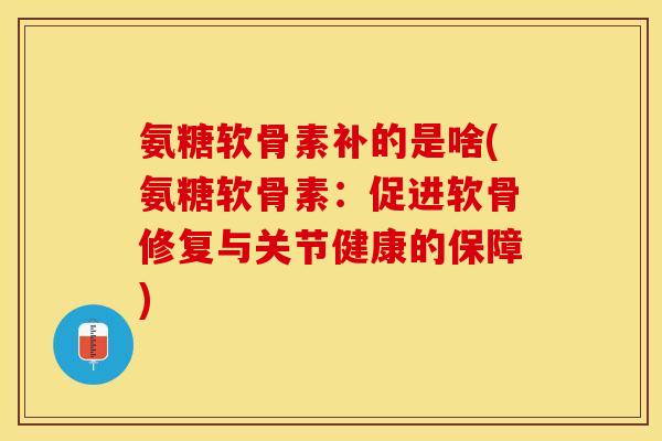 氨糖软骨素补的是啥(氨糖软骨素：促进软骨修复与关节健康的保障)