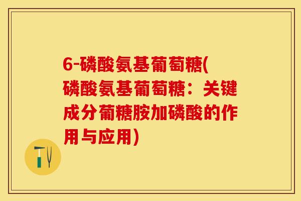 6-磷酸氨基葡萄糖(磷酸氨基葡萄糖：关键成分葡糖胺加磷酸的作用与应用)