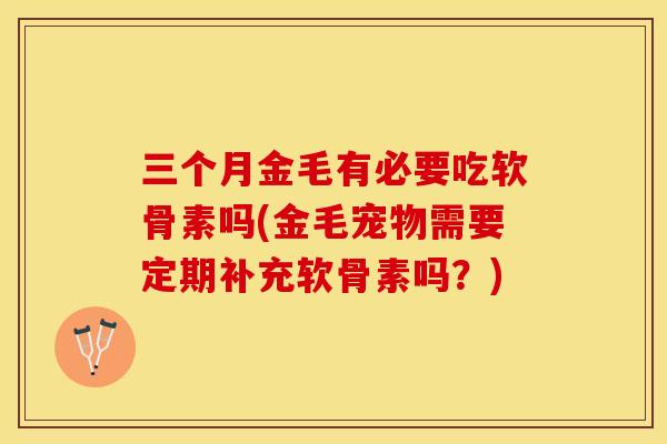 三个月金毛有必要吃软骨素吗(金毛宠物需要定期补充软骨素吗？)