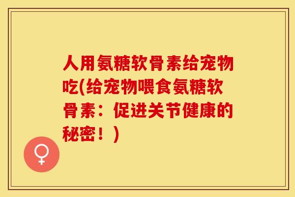 人用氨糖软骨素给宠物吃(给宠物喂食氨糖软骨素：促进关节健康的秘密！)-第1张图片-关节保镖