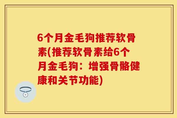 6个月金毛狗推荐软骨素(推荐软骨素给6个月金毛狗：增强骨骼健康和关节功能)