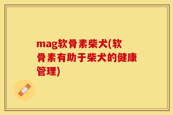 mag软骨素柴犬(软骨素有助于柴犬的健康管理)