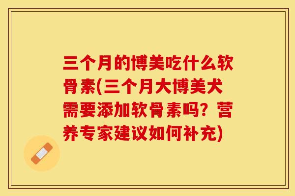 三个月的博美吃什么软骨素(三个月大博美犬需要添加软骨素吗？营养专家建议如何补充)