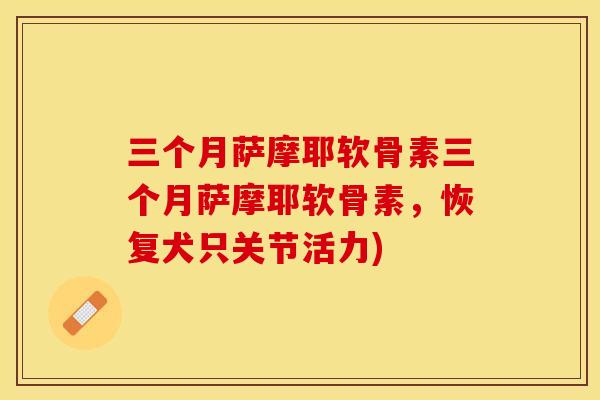 三个月萨摩耶软骨素三个月萨摩耶软骨素，恢复犬只关节活力)