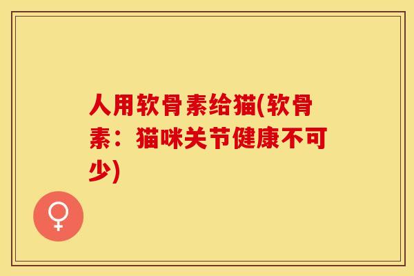 人用软骨素给猫(软骨素：猫咪关节健康不可少)