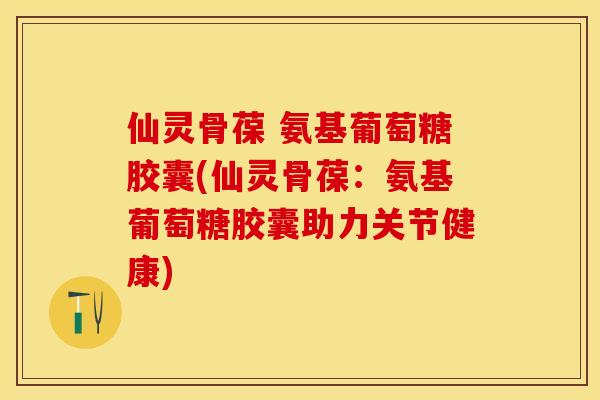 仙灵骨葆 氨基葡萄糖胶囊(仙灵骨葆：氨基葡萄糖胶囊助力关节健康)