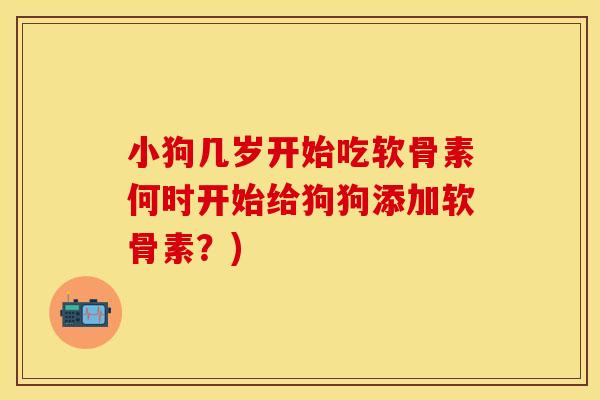 小狗几岁开始吃软骨素何时开始给狗狗添加软骨素？)