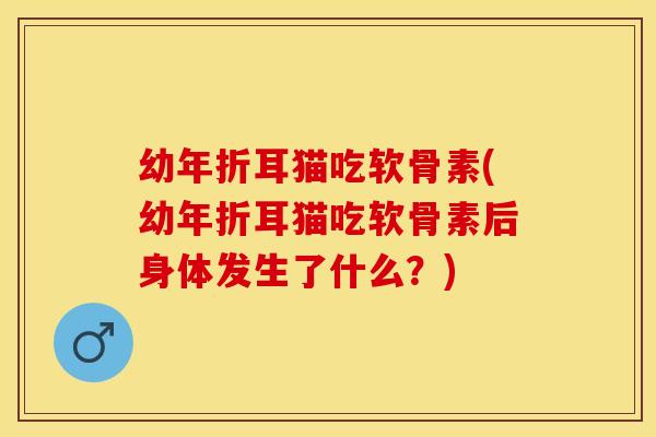 幼年折耳猫吃软骨素(幼年折耳猫吃软骨素后身体发生了什么?)-第1张图片-关节保镖 幼年折耳猫吃软骨素(幼年折耳猫吃软骨素后身体发生了什么?)-第1张图片-关节保镖