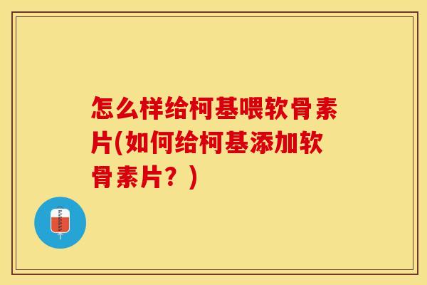 怎么样给柯基喂软骨素片(如何给柯基添加软骨素片？)