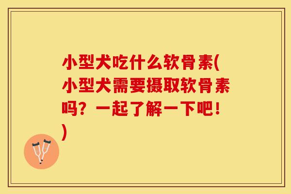小型犬吃什么软骨素(小型犬需要摄取软骨素吗？一起了解一下吧！)