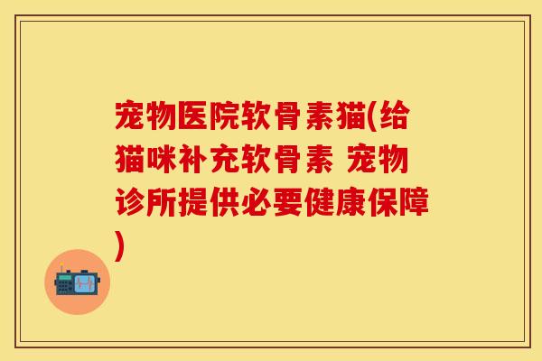 宠物医院软骨素猫(给猫咪补充软骨素 宠物诊所提供必要健康保障)