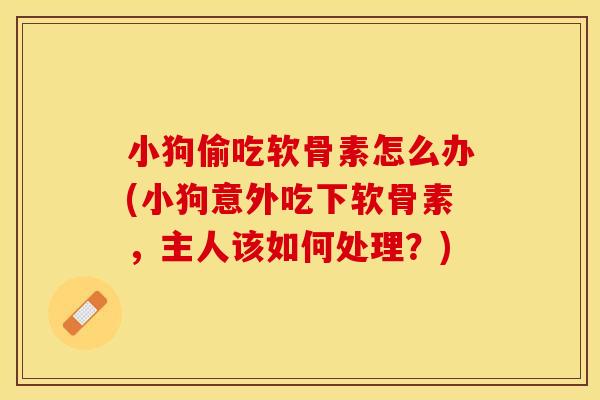 小狗偷吃软骨素怎么办(小狗意外吃下软骨素，主人该如何处理？)
