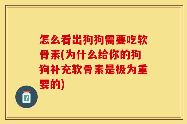 怎么看出狗狗需要吃软骨素(为什么给你的狗狗补充软骨素是极为重要的)