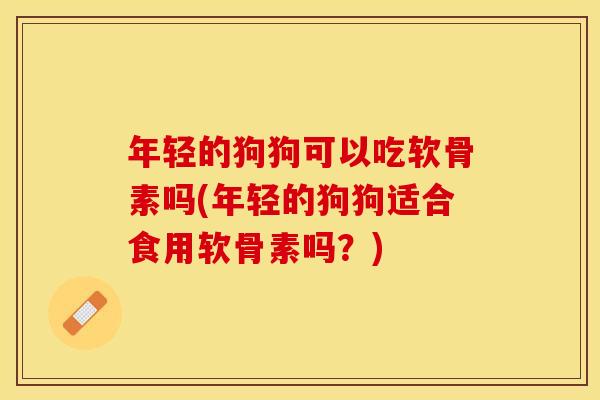 年轻的狗狗可以吃软骨素吗(年轻的狗狗适合食用软骨素吗？)