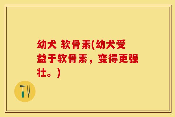 幼犬 软骨素(幼犬受益于软骨素，变得更强壮。)