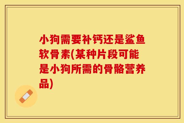 小狗需要补钙还是鲨鱼软骨素(某种片段可能是小狗所需的骨骼营养品)