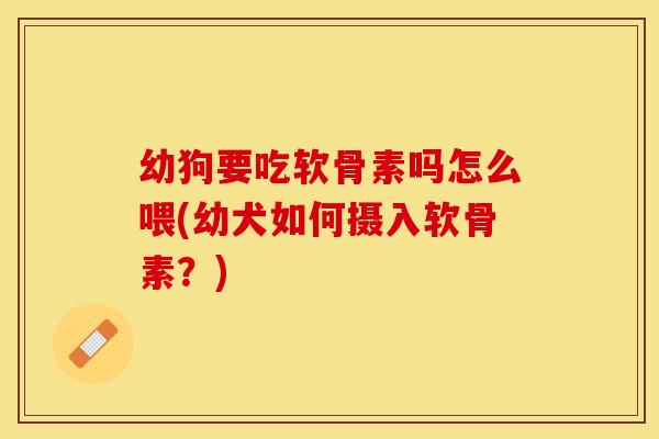 幼狗要吃软骨素吗怎么喂(幼犬如何摄入软骨素？)