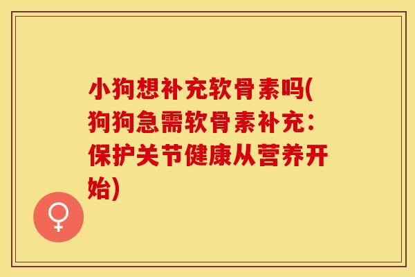 小狗想补充软骨素吗(狗狗急需软骨素补充：保护关节健康从营养开始)