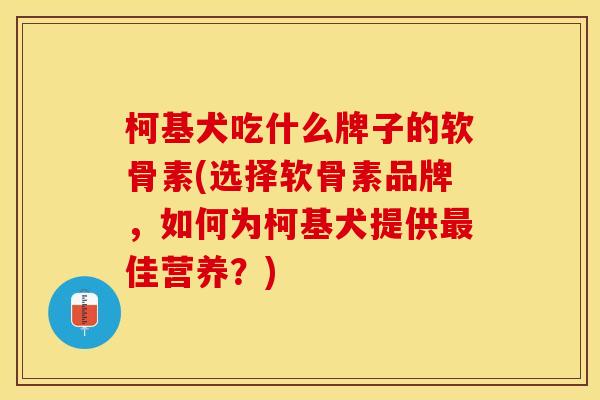 柯基犬吃什么牌子的软骨素(选择软骨素品牌，如何为柯基犬提供最佳营养？)