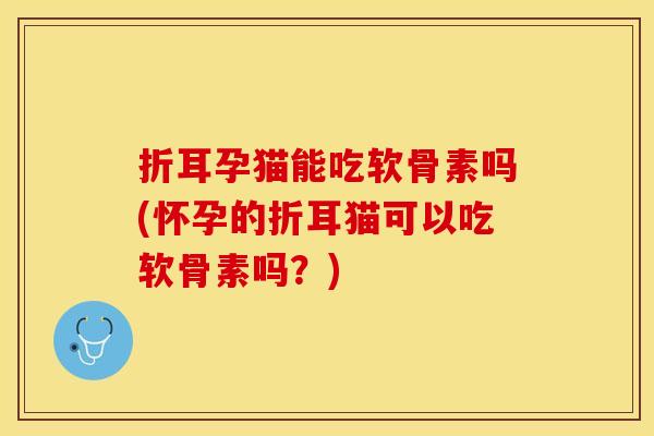 折耳孕猫能吃软骨素吗(怀孕的折耳猫可以吃软骨素吗？)