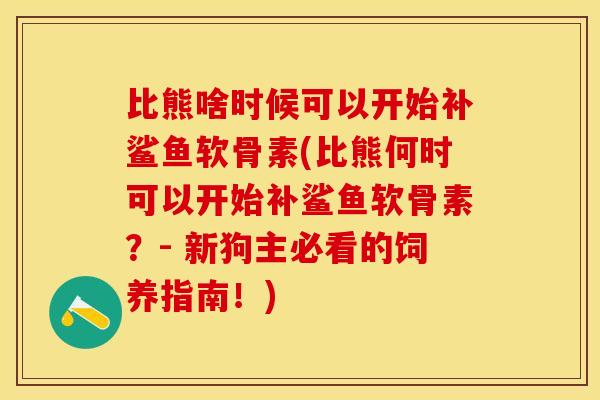 比熊啥时候可以开始补鲨鱼软骨素(比熊何时可以开始补鲨鱼软骨素？- 新狗主必看的饲养指南！)