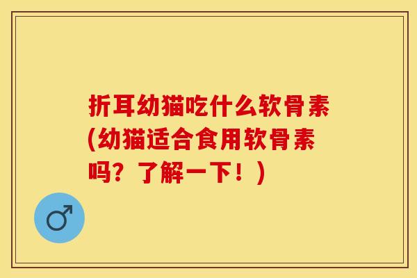 折耳幼猫吃什么软骨素(幼猫适合食用软骨素吗？了解一下！)