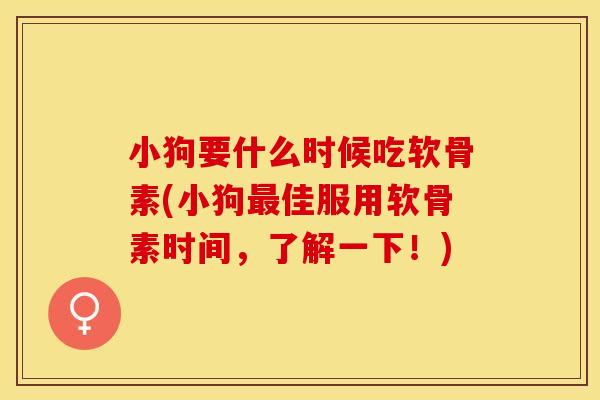 小狗要什么时候吃软骨素(小狗最佳服用软骨素时间，了解一下！)