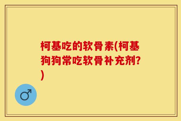 柯基吃的软骨素(柯基狗狗常吃软骨补充剂？)