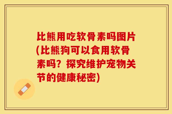 比熊用吃软骨素吗图片(比熊狗可以食用软骨素吗？探究维护宠物关节的健康秘密)