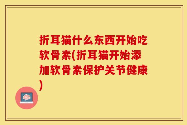 折耳猫什么东西开始吃软骨素(折耳猫开始添加软骨素保护关节健康)