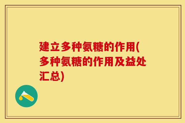 建立多种氨糖的作用(多种氨糖的作用及益处汇总)