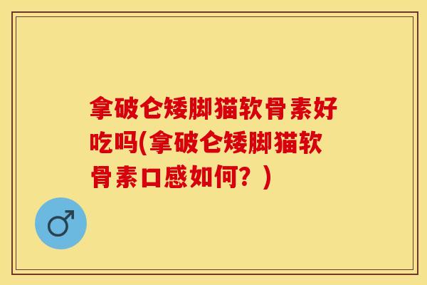 拿破仑矮脚猫软骨素好吃吗(拿破仑矮脚猫软骨素口感如何?)-第1张图片-关节保镖 拿破仑矮脚猫软骨素好吃吗(拿破仑矮脚猫软骨素口感如何?)-第1张图片-关节保镖