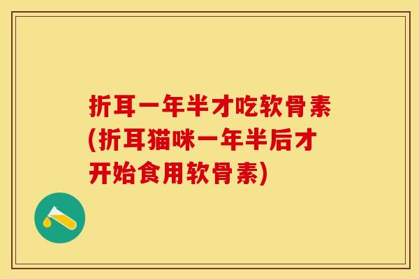 折耳一年半才吃软骨素(折耳猫咪一年半后才开始食用软骨素)