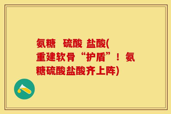 氨糖  硫酸 盐酸(重建软骨“护盾”！氨糖硫酸盐酸齐上阵)