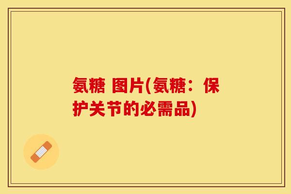 氨糖 图片(氨糖：保护关节的必需品)
