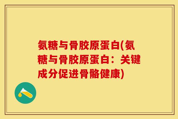 氨糖与骨胶原蛋白(氨糖与骨胶原蛋白：关键成分促进骨骼健康)