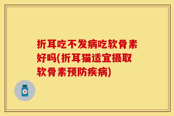 折耳吃不发病吃软骨素好吗(折耳猫适宜摄取软骨素预防疾病)