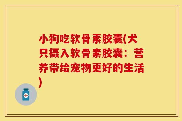 小狗吃软骨素胶囊(犬只摄入软骨素胶囊：营养带给宠物更好的生活)