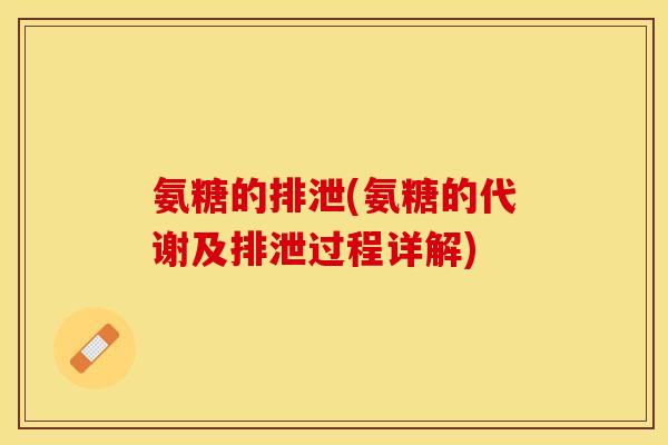 氨糖的排泄(氨糖的代谢及排泄过程详解)
