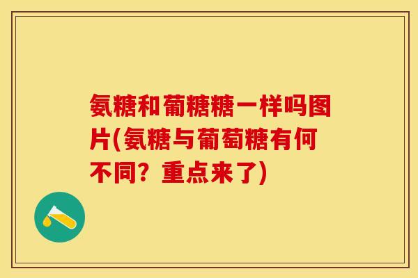 氨糖和葡糖糖一样吗图片(氨糖与葡萄糖有何不同？重点来了)