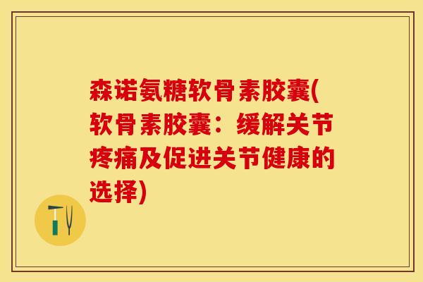 森诺氨糖软骨素胶囊(软骨素胶囊：缓解关节疼痛及促进关节健康的选择)