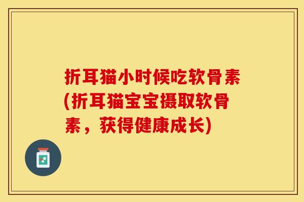 折耳猫小时候吃软骨素(折耳猫宝宝摄取软骨素，获得健康成长)
