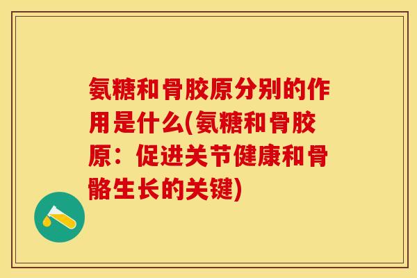 氨糖和骨胶原分别的作用是什么(氨糖和骨胶原：促进关节健康和骨骼生长的关键)