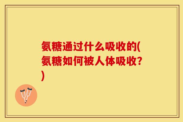 氨糖通过什么吸收的(氨糖如何被人体吸收？)