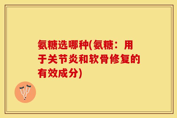 氨糖选哪种(氨糖：用于关节炎和软骨修复的有效成分)