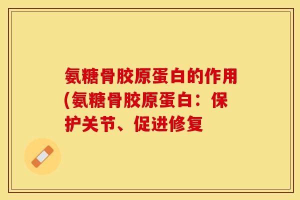氨糖骨胶原蛋白的作用(氨糖骨胶原蛋白：保护关节、促进修复